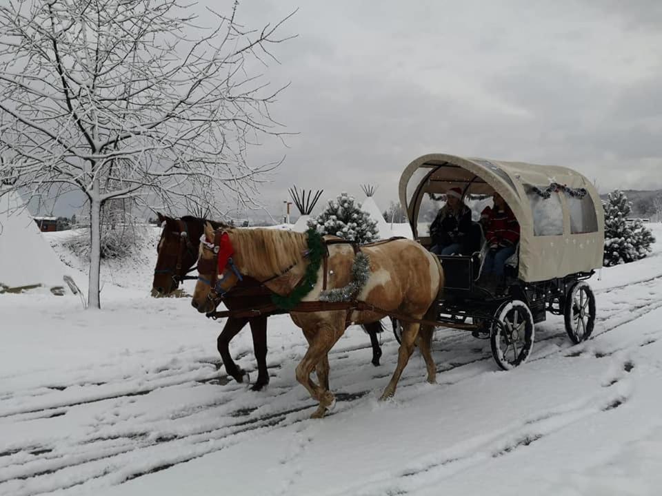 Evergreen House Plitvice ราโควิซา ภายนอก รูปภาพ